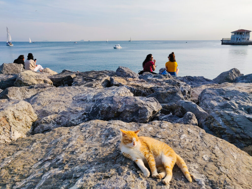 In Kadıköy, on the Asian side of Istanbul, you will find a promontory surrounded by the Sea of Marmara, or a charming neighborhood called Moda. The small streets of Moda will seduce you with culture, colors, smells of delicacies and authentic Istanbul life. In the end, you will end up mesmerized by the stunning views and beauty of the coastal landscapes of the Sea of Marmara.